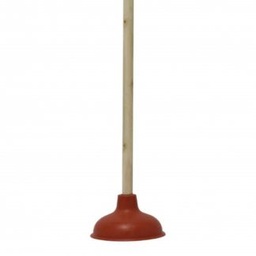 [JARPALMA0093] Palma De Oro Bomba Wc Grande